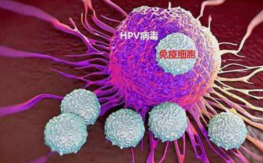 补硒元素预防hpv