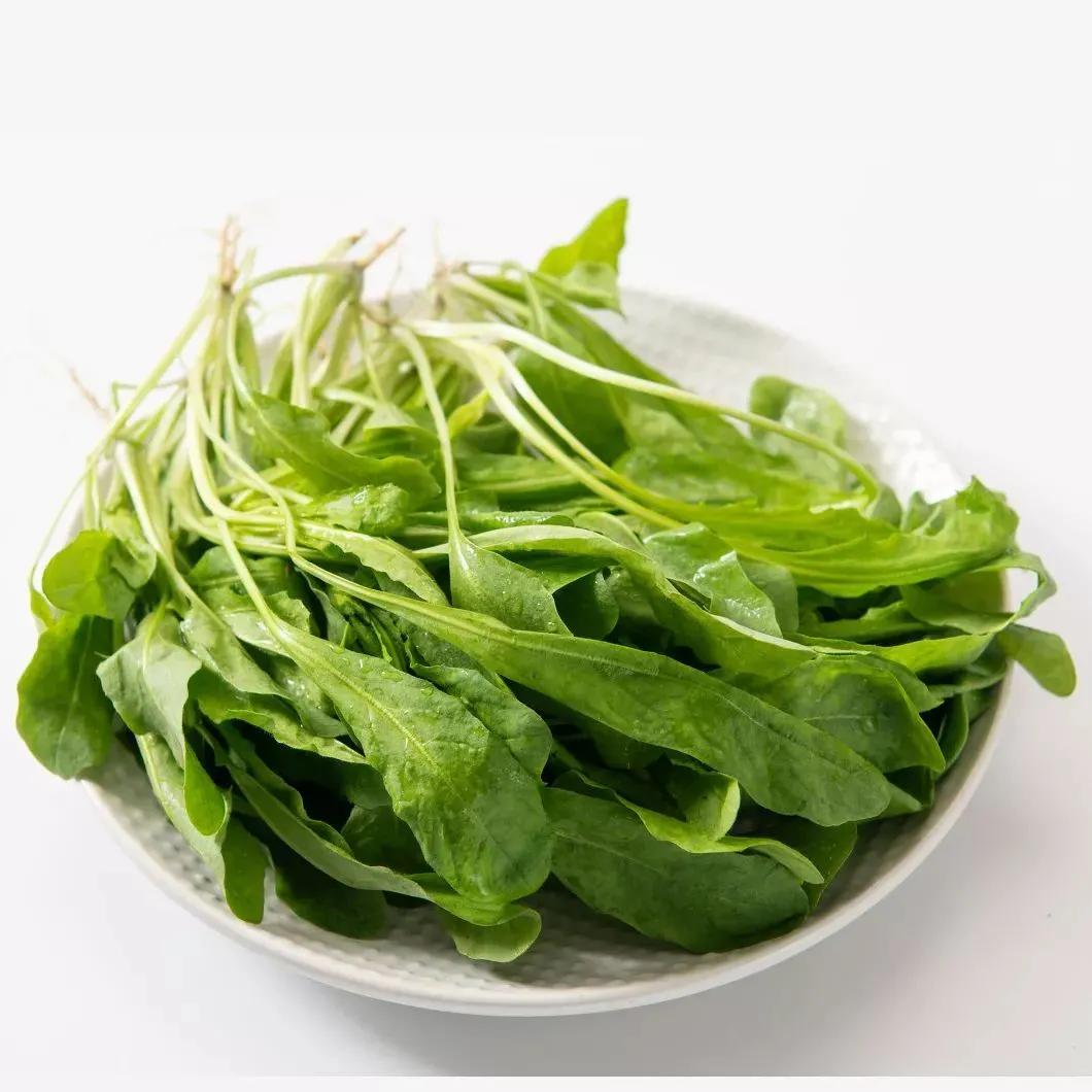 补钙蔬菜前十名