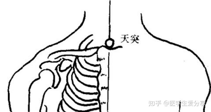 甲状腺结节补硒剂量