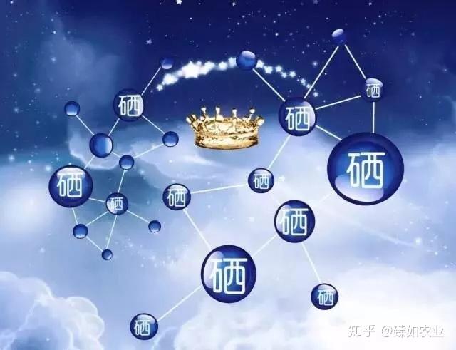 人体补200微克硒