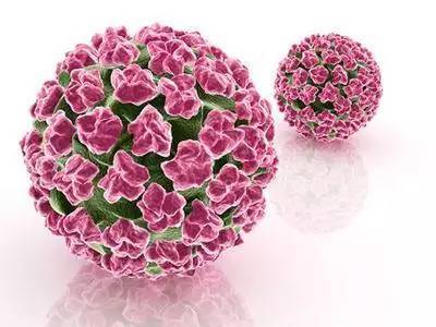 hpv 16型补硒