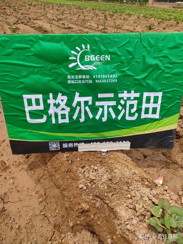 微量元素铜偏高怎么办