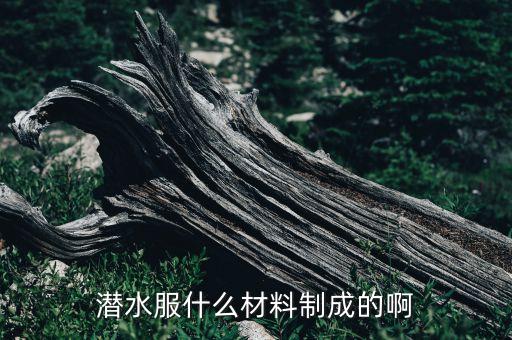 潜水服什么材料制成的啊