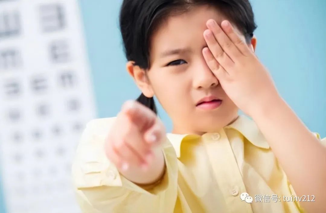 什么补钙效果最好