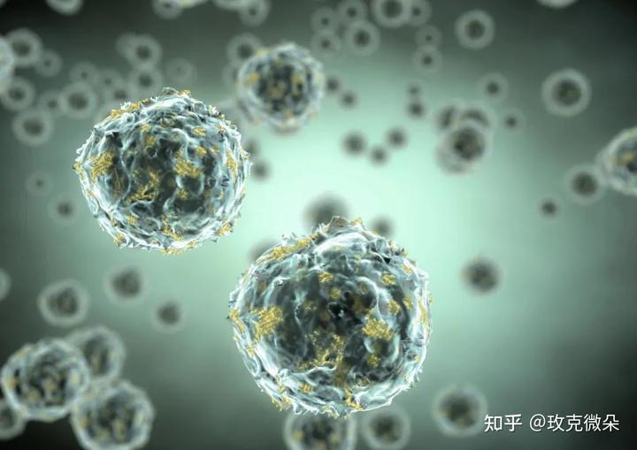 补硒可以逆转癌症么