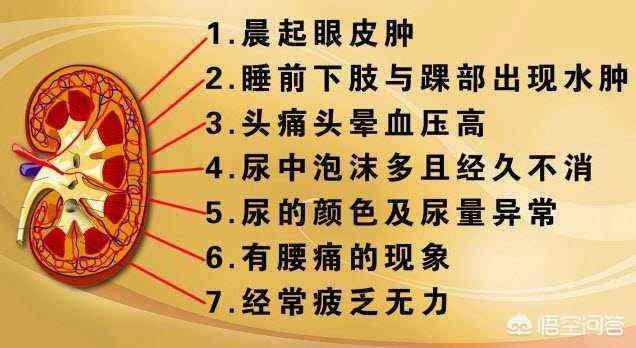 红枣补铁
