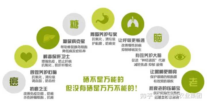 最好的补硒 的产品