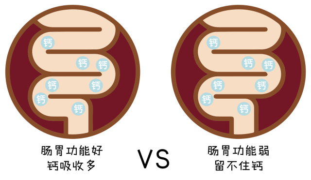 中年人怎么补钙
