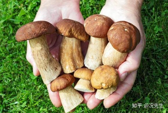甲状腺病补硒吃多少