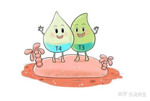 甲状腺病补硒吃多少