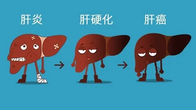 补硒对脾脏肝脏好吗