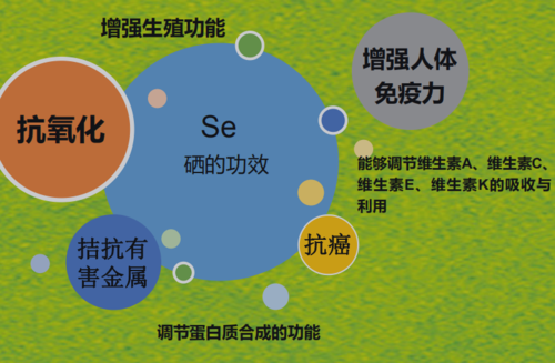 补硒能防止细胞癌变