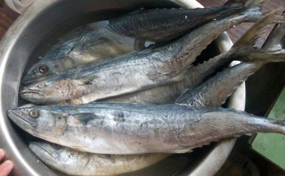 吃哪些肉类可以补硒