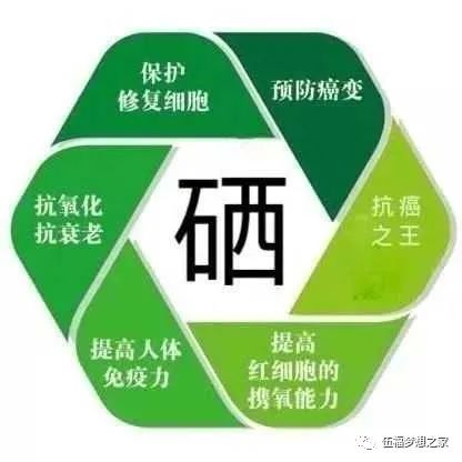 怎样补硒才是合理的