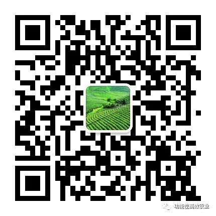 什么食物补硒最高效
