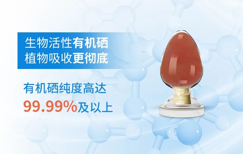 怎样补硒才是合理的