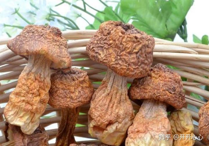 宫颈病变可以补硒吗