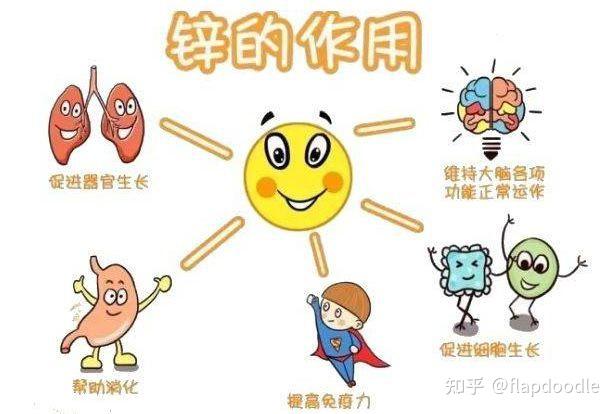 婴儿 补锌