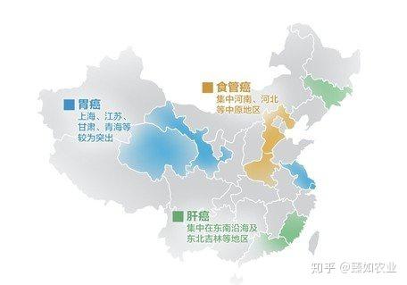 得了癌症可以补硒吗