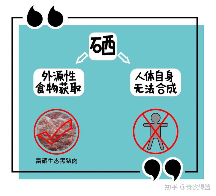 小儿补锌补硒的产品