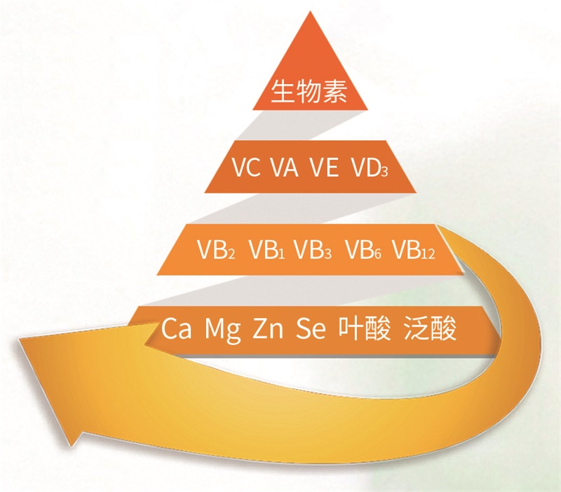 缺钙铁锌硒吃什么补