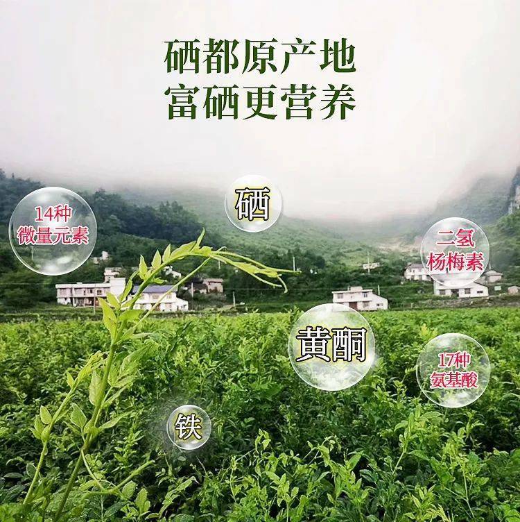 什么茶补硒最好最快