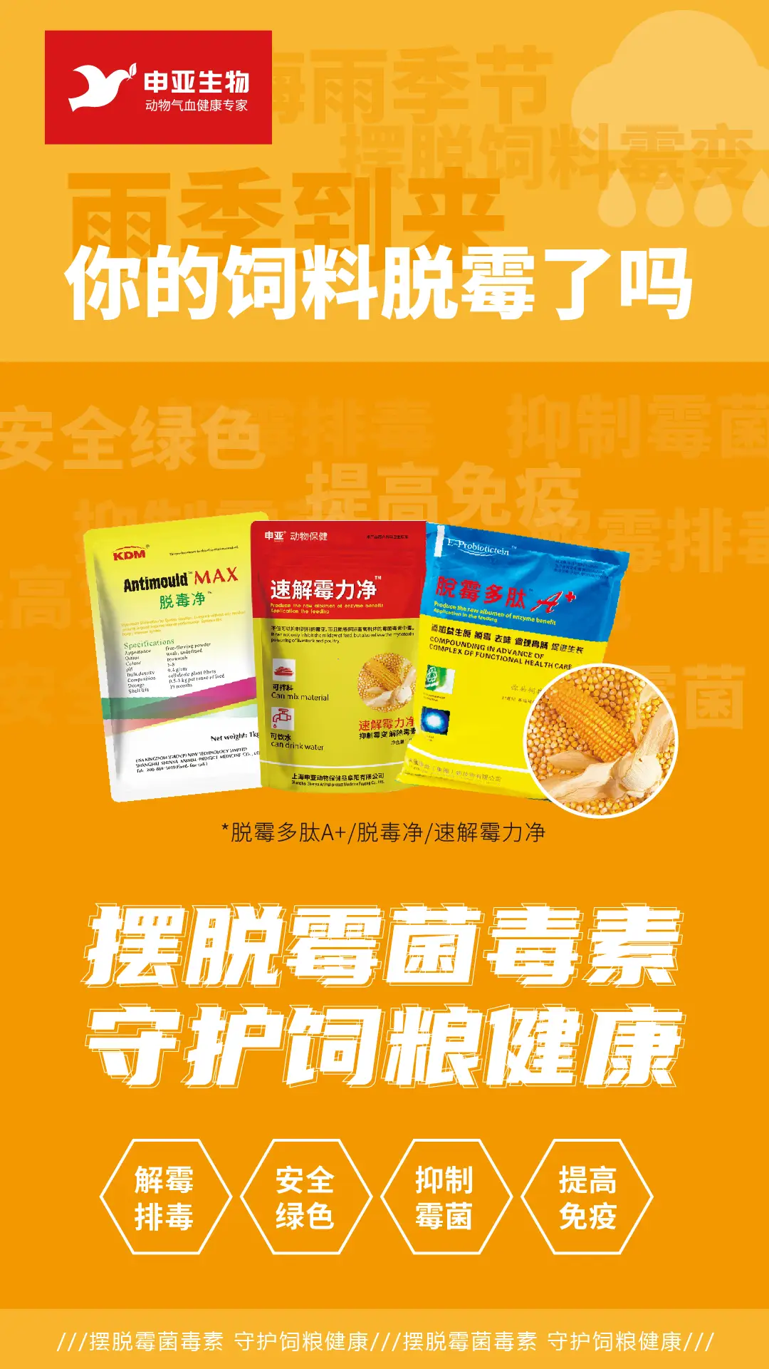 仔猪在几天补硒补铁