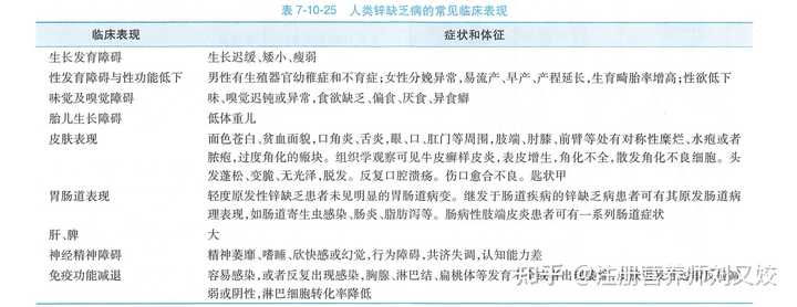 儿童补锌食谱