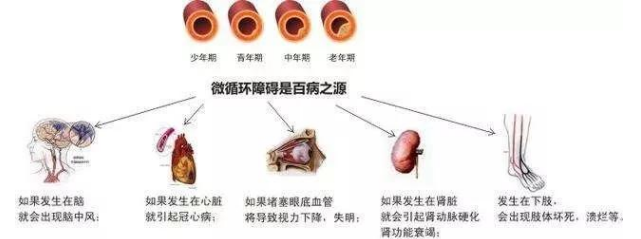 补硒可以增加食欲嘛