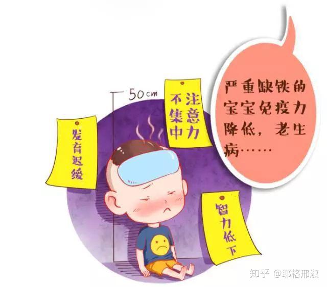 补铁是什么