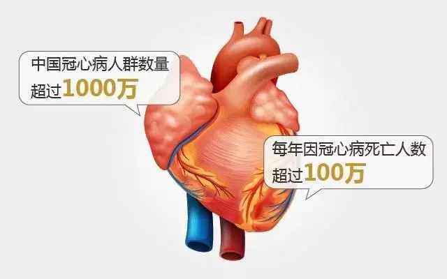 补硒能预防哪些疾病