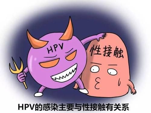 补锌能提高免疫力吗