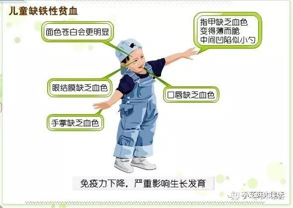 白芝麻补钙吗