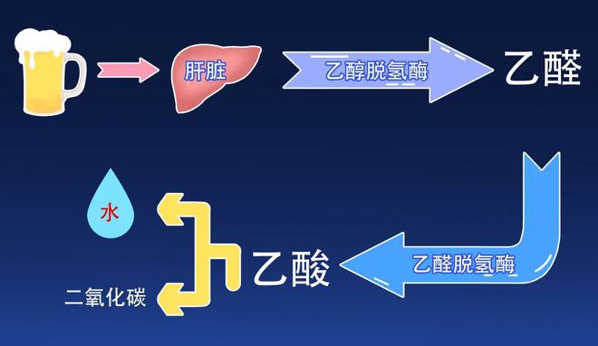 微量元素表图片