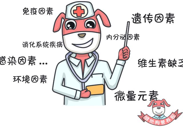狗狗缺微量元素的症状