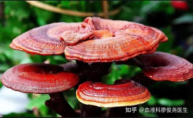 补硒能治疗肺部结节