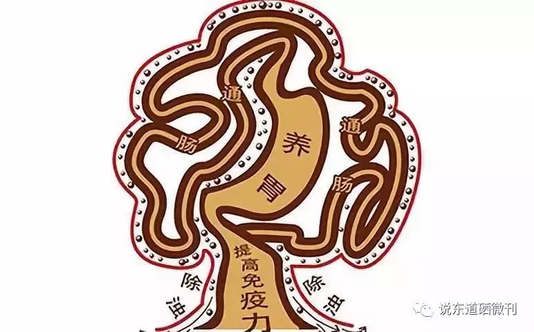 胃癌晚期补硒吃什么
