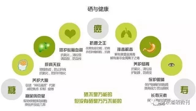 胃癌晚期补硒吃什么