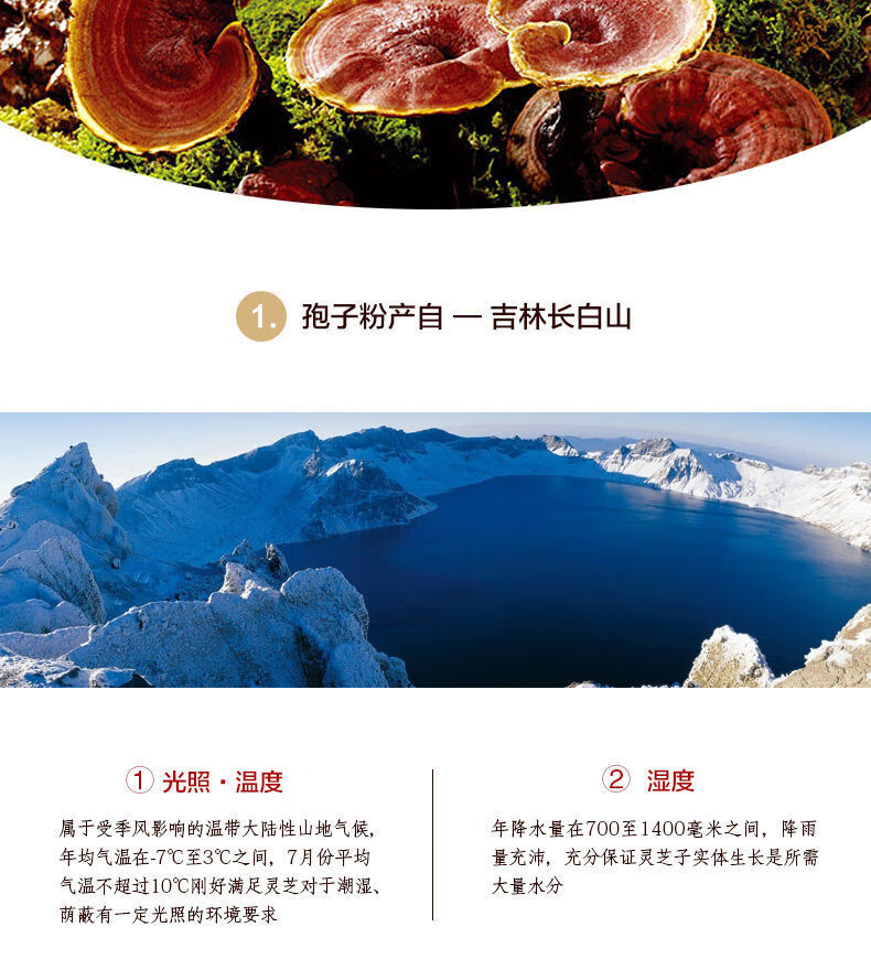 灵芝为什么补硒元素