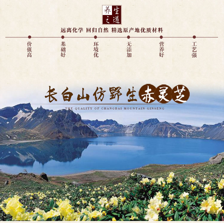灵芝为什么补硒元素