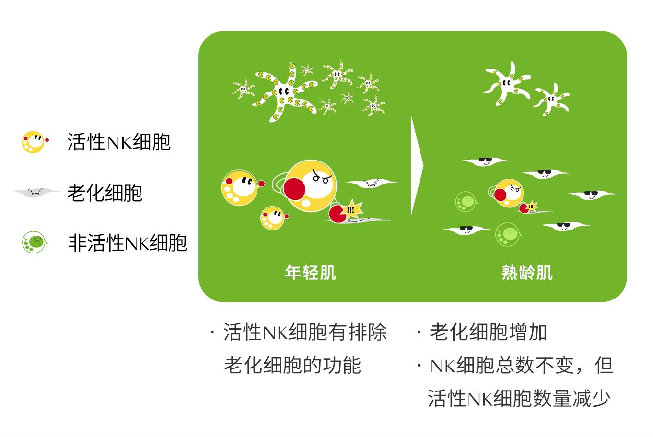 补硒能治疗白癜风么