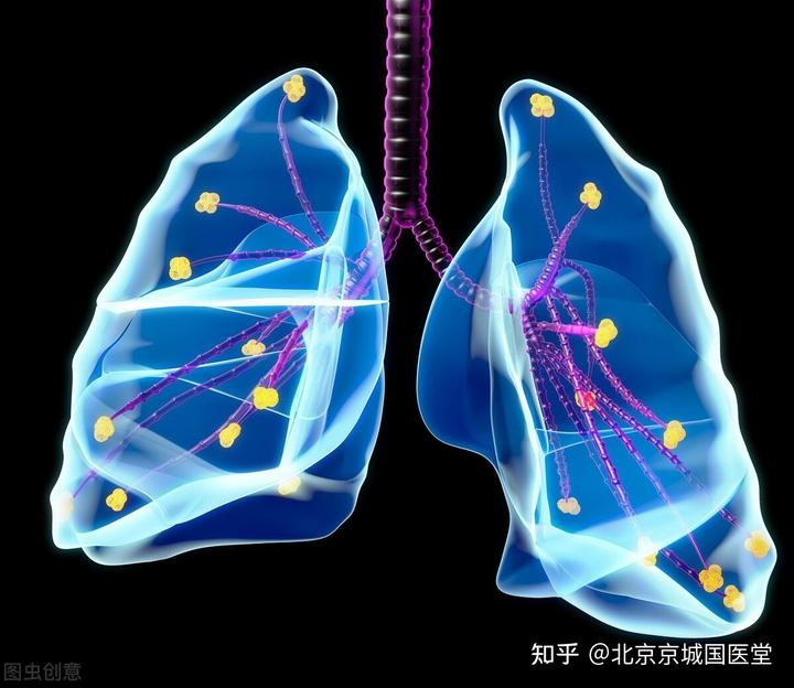 肺癌术后吃什么补硒