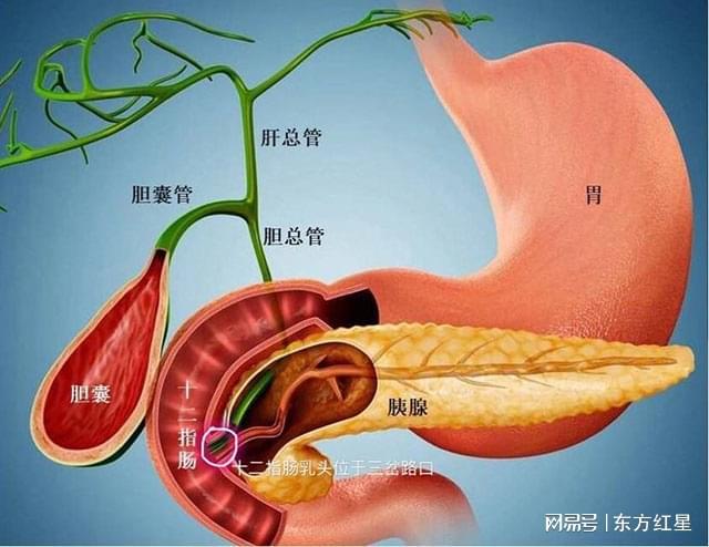 补硒中毒有什么症状