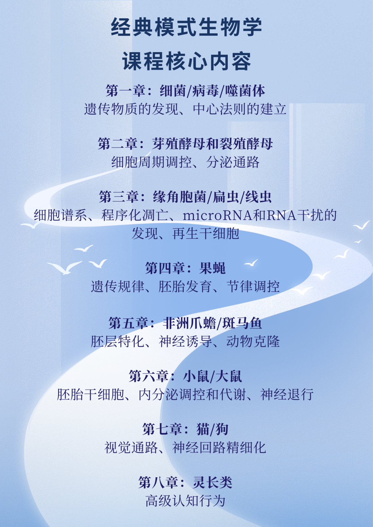 酵母锌补锌效果好吗