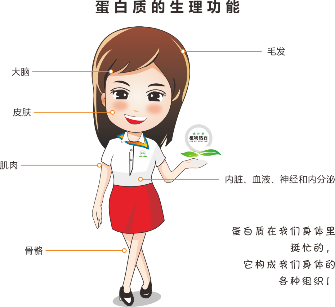 贫血可以补蛋白硒吗
