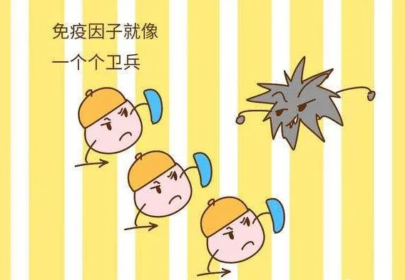 贫血可以补蛋白硒吗