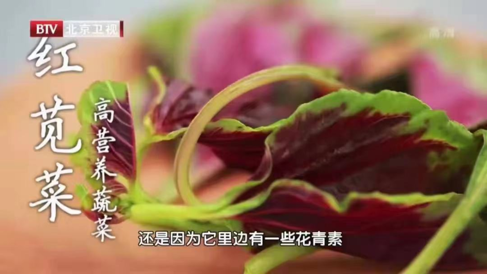 补钙季节
