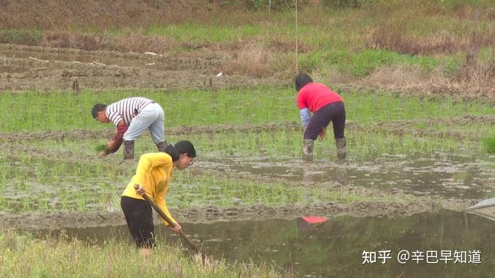 中国补硒协会捐灾区