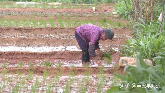 中国补硒协会捐灾区