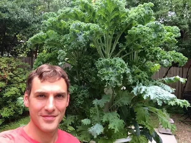 什么水果蔬菜能补硒